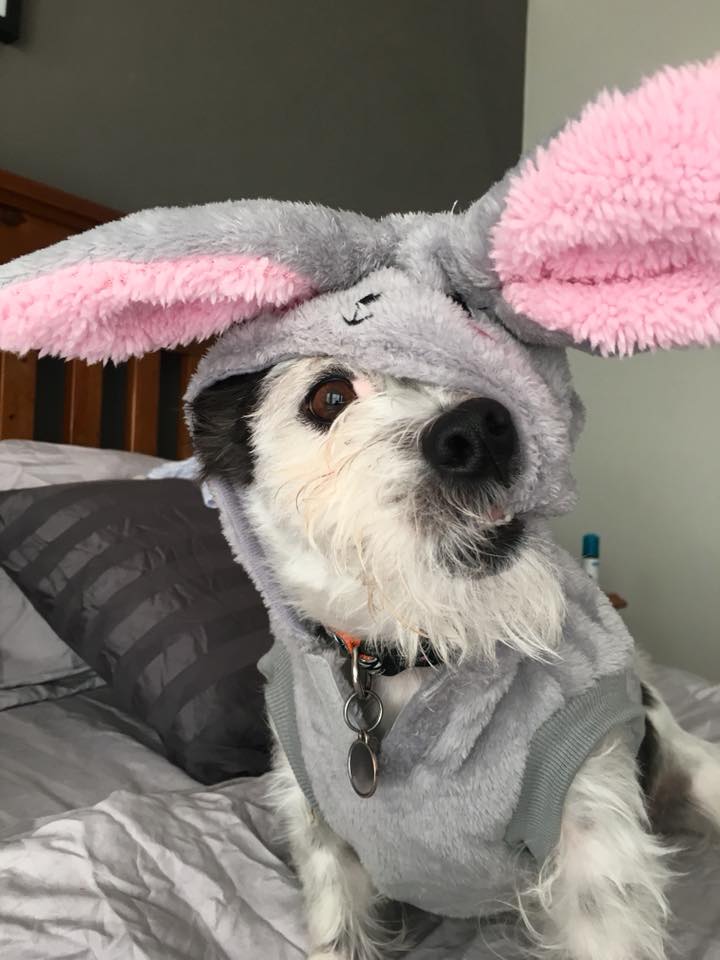Easter Update